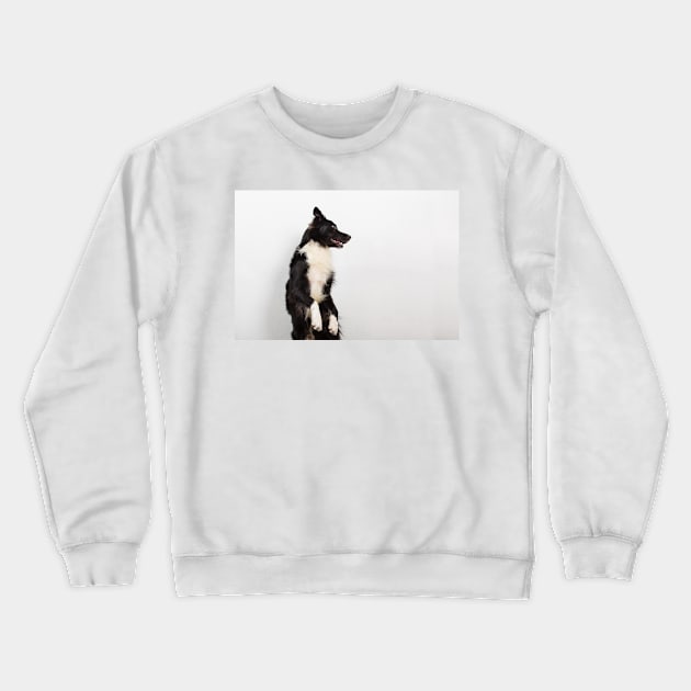 Playful sheepdog Crewneck Sweatshirt by 1STunningArt